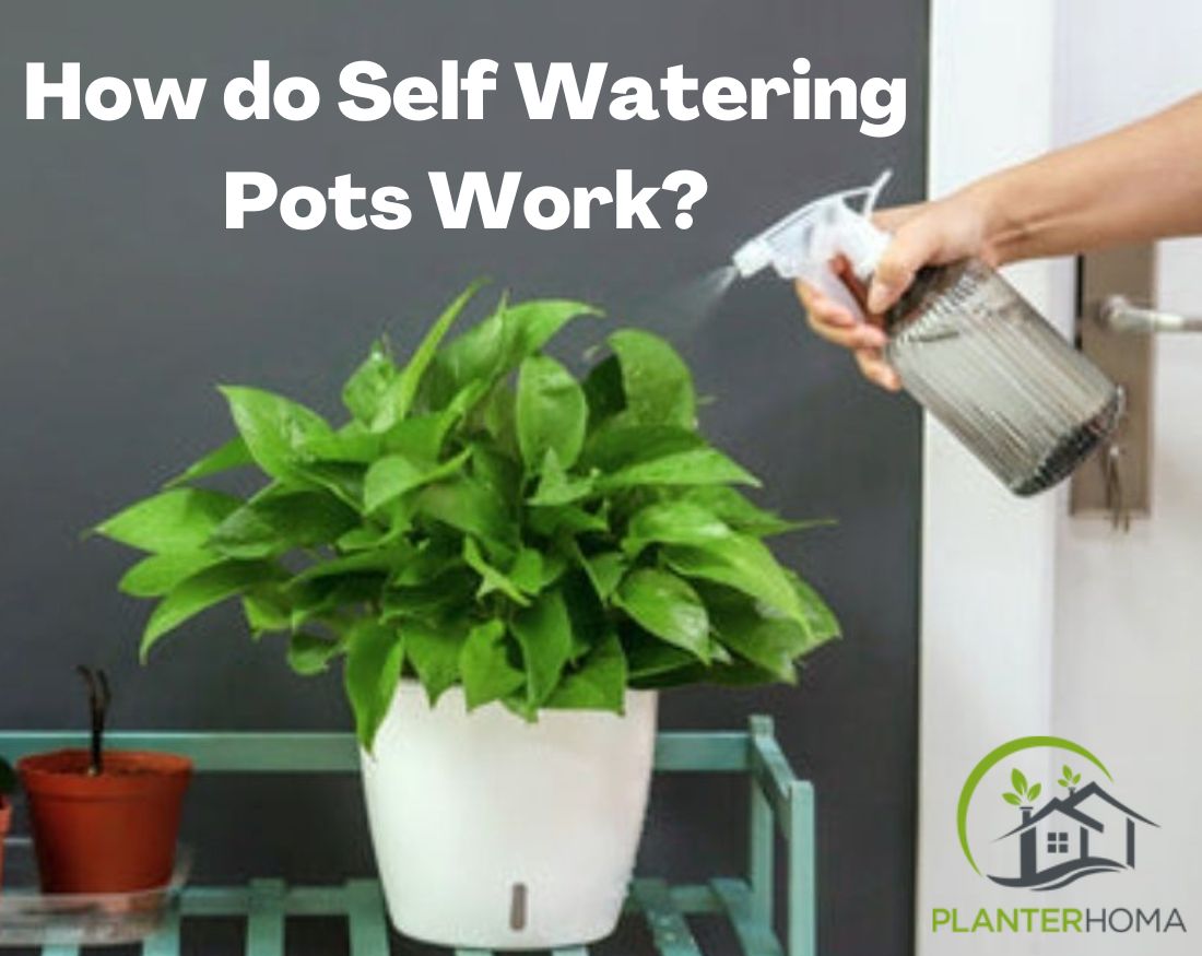 How to make a self-watering planter from any pot