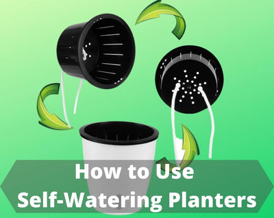 How to Use Self-Watering Planters | Planterhoma Instructions