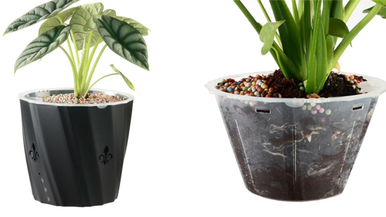 We Tested A Self-Watering Houseplant Pot: Here's How & Why to Use Them –  Outside In
