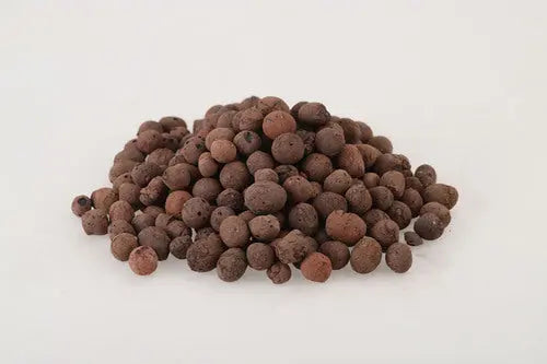 5lb LECA Expanded Clay Pebbles for Plants, Horticultural Grade for Hyd –  planterhoma