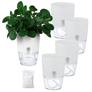 Clear Self Watering Planters