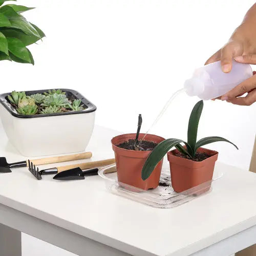 self watering succulent pot 1 Pack Watering Can, 250ML Succulent Watering Bottle
