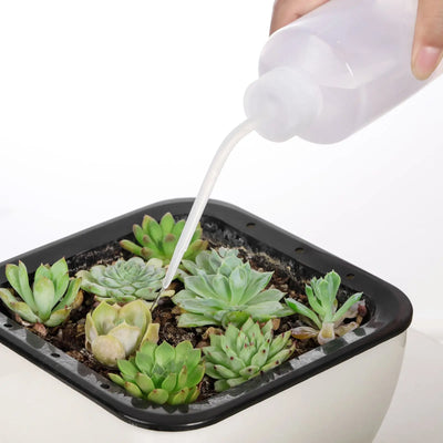 1 Pack Watering Can, 250ML Succulent Watering Bottle planterhoma