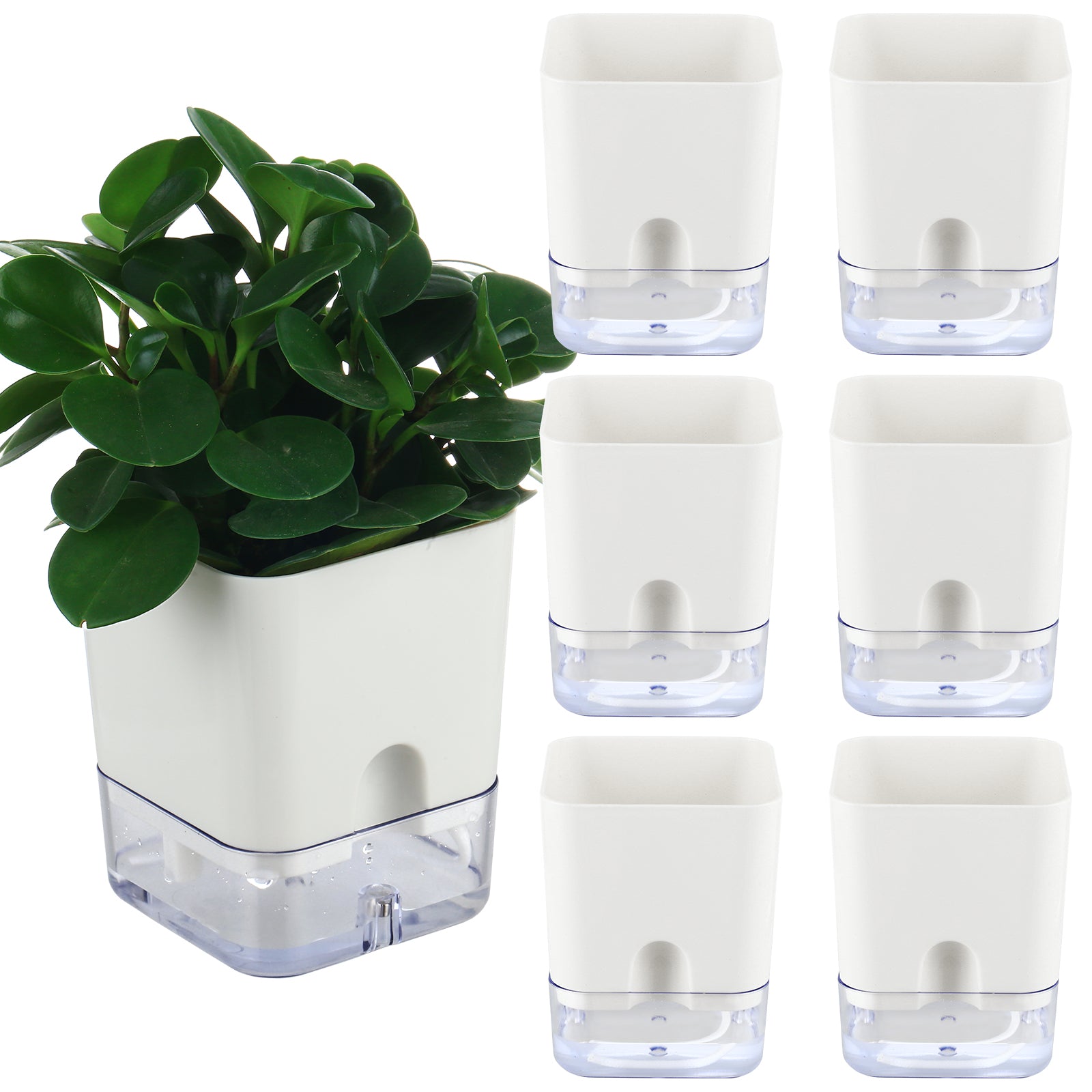 6 Pack-4.3 Inch Square Self Watering Planter Indoor Plants