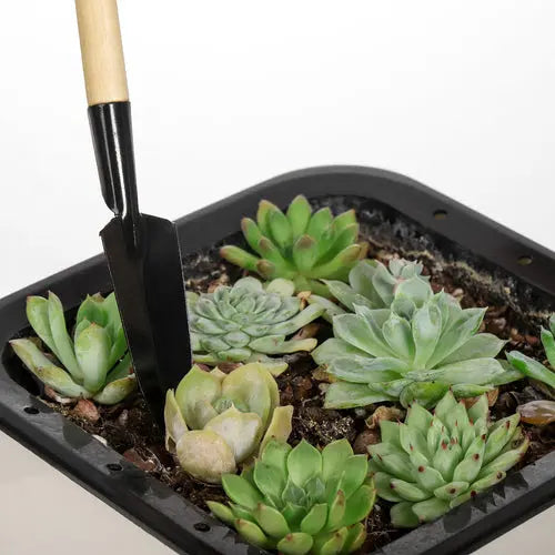 succulent tools 3 Piece Gardening Tool Set Mini Wood Handle Shovel Trowel