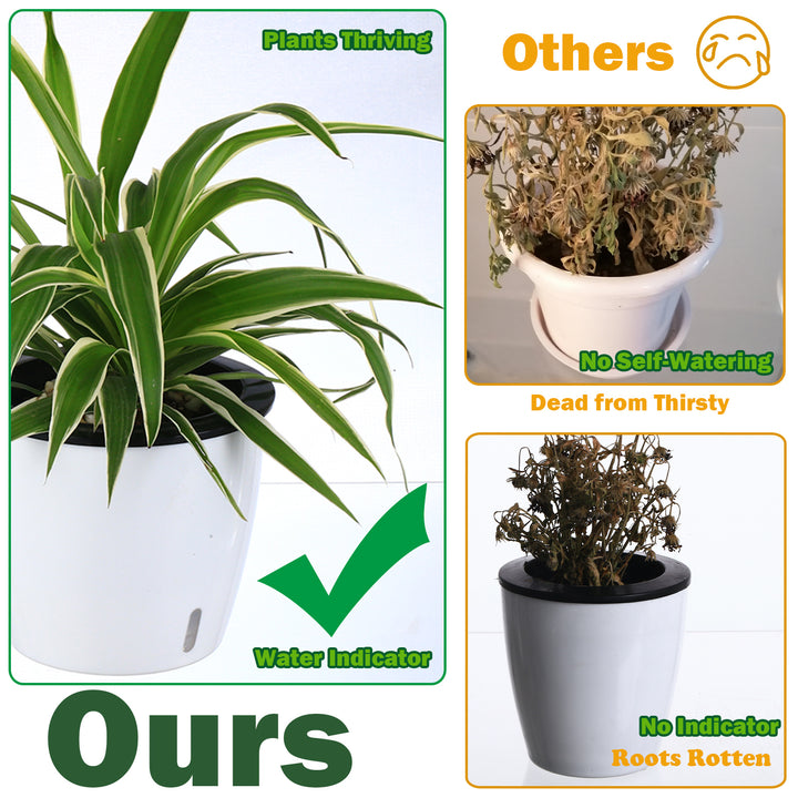 water indicator for indoor plants Self Watering Pots for Indoor Plants with Water Indicator – planterhoma