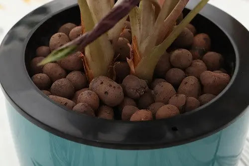 clay pebbles indoor plants 350g Leca Clay Pebbles for Plants