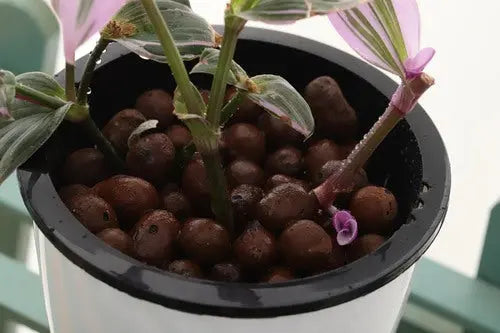 house plant pebbles 350g Leca Clay Pebbles for Plants