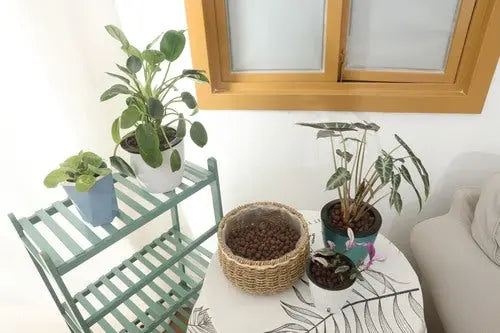 pebbles for indoor plants 350g Leca Clay Pebbles for Plants