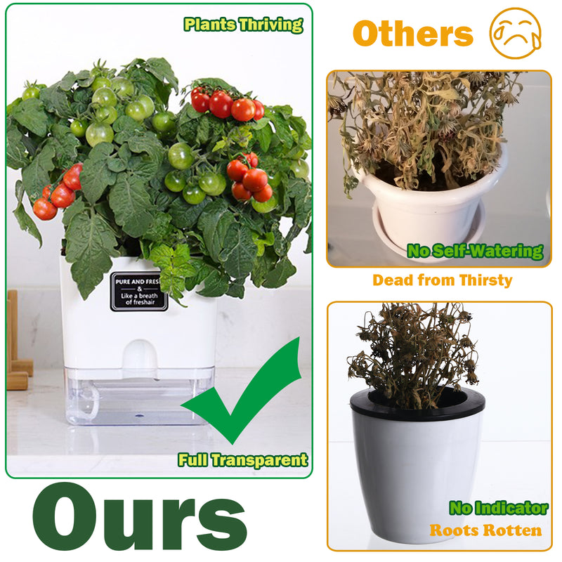 Self Watering Rectangular Planter for Indoor Plants By Planterhoma planterhoma