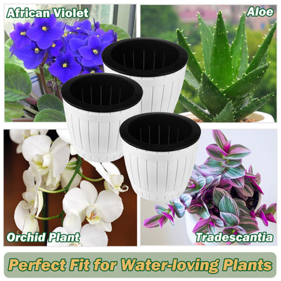 Inexpensive Self Watering African Violet Pot for Sale- Pack of 3 planterhoma