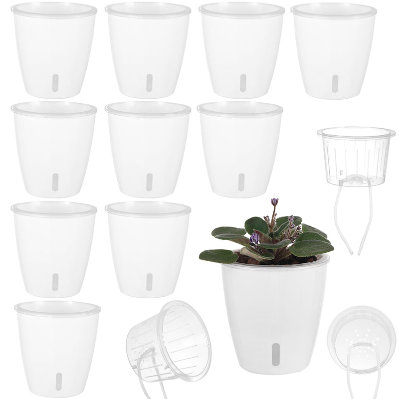 Clear Self Watering Planter for Indoor Plants, 6 inch Plastic