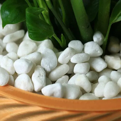 white pebbles for garde, 10.6 oz planterhoma