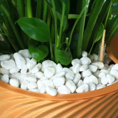 white pebbles for garde, 10.6 oz planterhoma